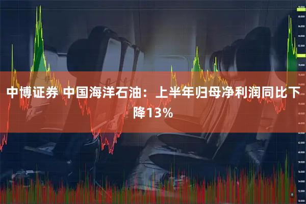 中博证券 中国海洋石油：上半年归母净利润同比下降13%