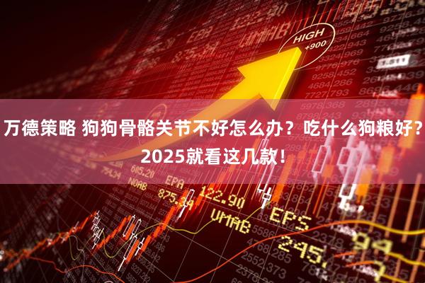 万德策略 狗狗骨骼关节不好怎么办？吃什么狗粮好？2025就看这几款！