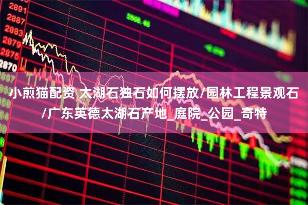 小煎猫配资 太湖石独石如何摆放/园林工程景观石/广东英德太湖石产地_庭院_公园_奇特