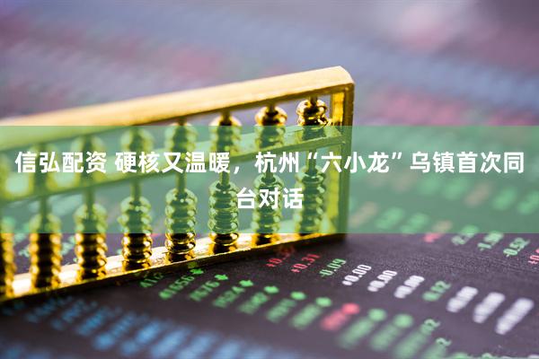 信弘配资 硬核又温暖，杭州“六小龙”乌镇首次同台对话