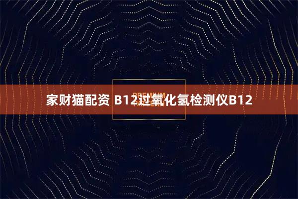 家财猫配资 B12过氧化氢检测仪B12