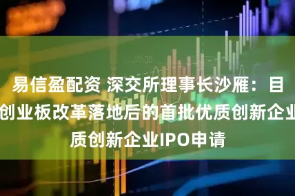 易信盈配资 深交所理事长沙雁：目前已受理创业板改革落地后的首批优质创新企业IPO申请